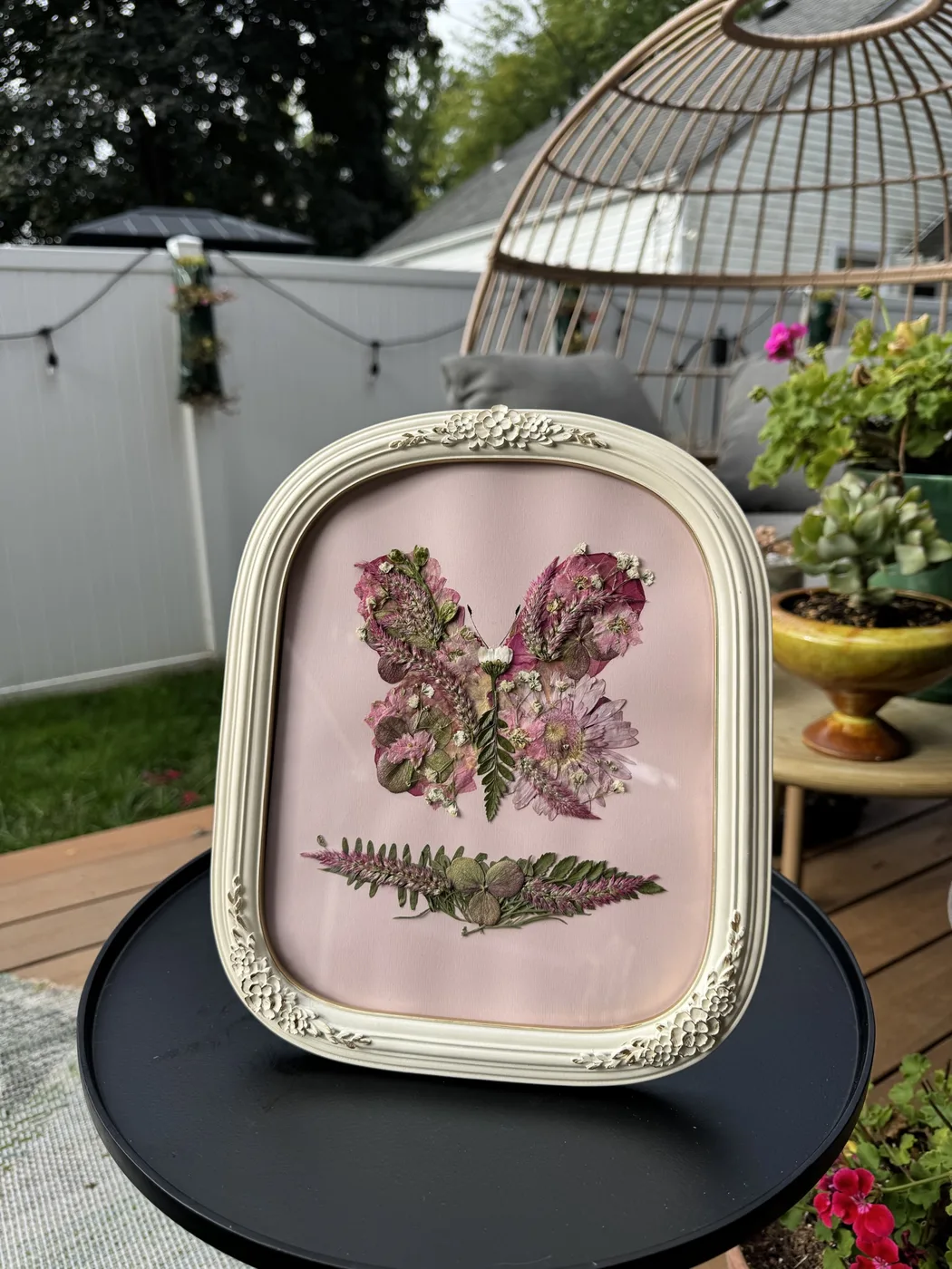 A pressed pink flower butterfly in an ornate white oval frame